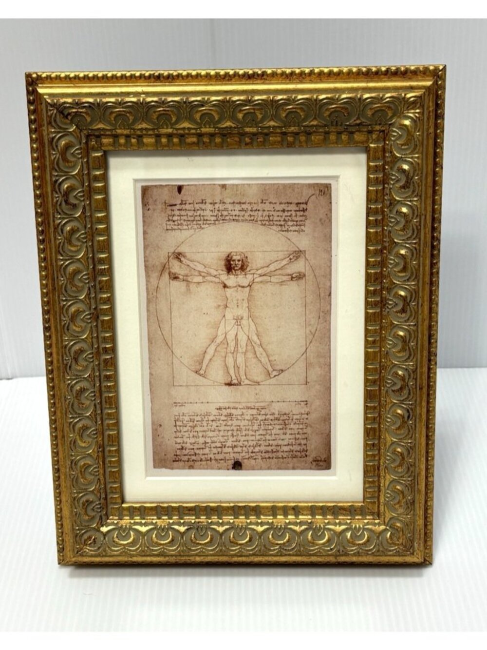 Leonardo da Vinci Vitruvian Man Framed Mini Art Print Ornate Frame, Decor